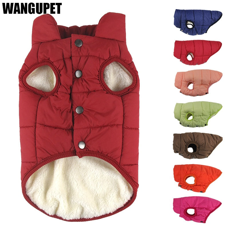 Dog Winter Coat Clothes (Small Dogs & Big Dog)