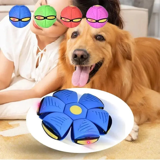 Flat Throw Disc Ball (Pet Supplies Dog ,Training Games Toys, Flying UFO)